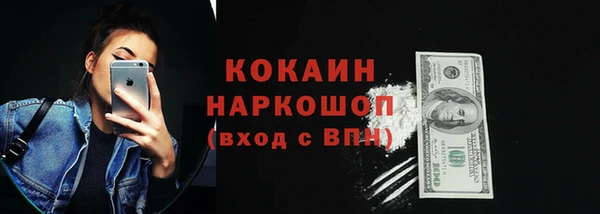 соль ск Алексин