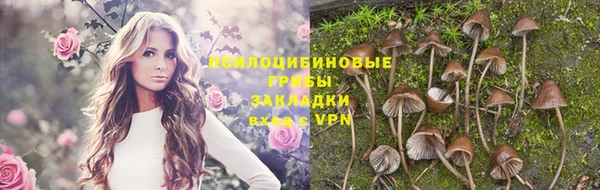 соль ск Алексин